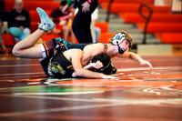 James Wrestling