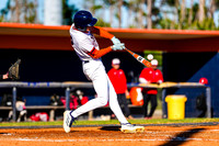 Baseball #4