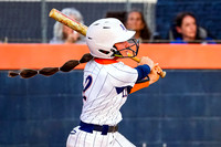 Softball #2