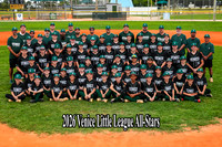 Venice Little League All-Stars