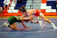 Wrestling