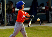 4-9-13 - EAYB - Englewood Health Care Versus Lemon Bay Sunrise Rotary - If you don't see pictures of your son call me